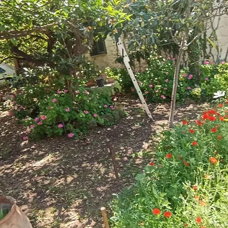 Stone House Into Amazing Garden Casa vacanze