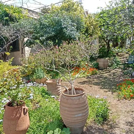 Stone House Into Amazing Garden