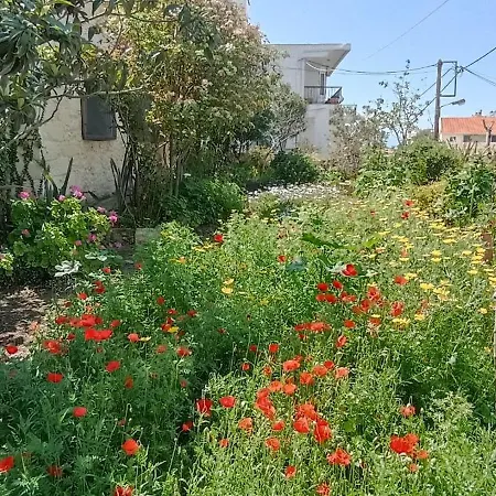 בית נופש Stone House Into Amazing Garden חאניה