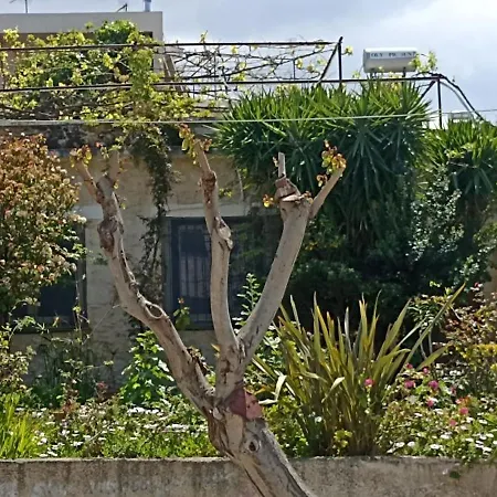 Stone House Into Amazing Garden בית נופש חאניה