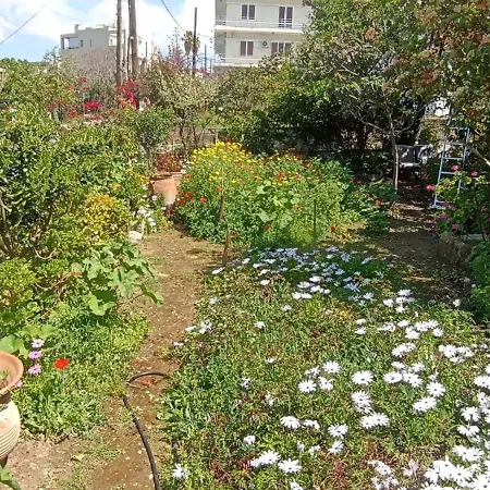 Stone House Into Amazing Garden בית נופש