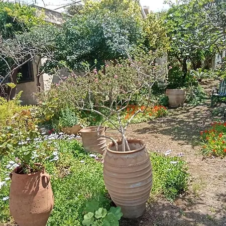 Stone House Into Amazing Garden بيت للعطل خانيا