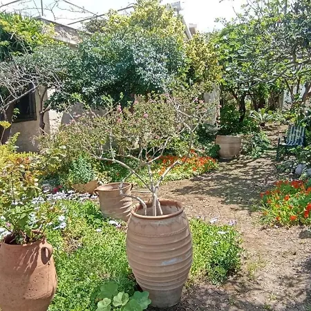 Stone House Into Amazing Garden